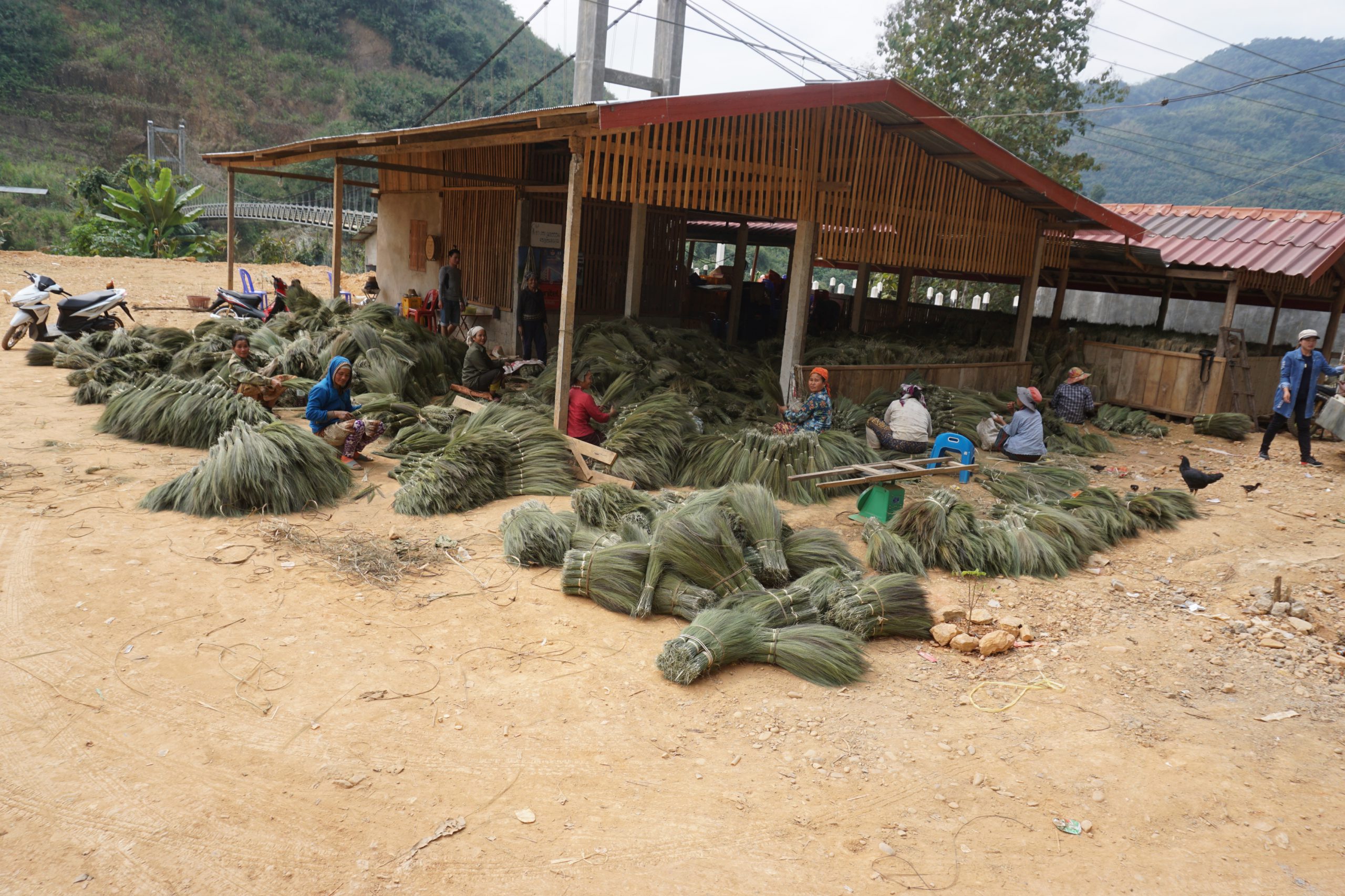Continuing Towards Dien Bien Phu Border Hand Made Broom for Vietnam, Major Lao Export | Laos