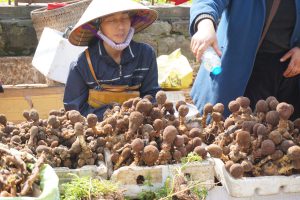 ...Selling Mushrooms at the Local Market | Vietnam