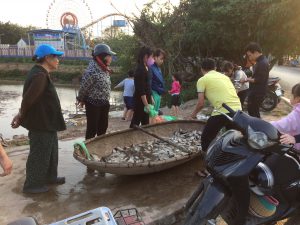 ...Sale of Fresh Lake Fish at the Close-By Amusement Park in Hanoi | Vietnam