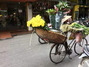 ...and Flowers in Ha Noi | Vietnam