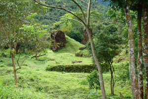 ...Hidden in the Rain Forest before Excavation...