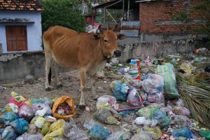 ,,,And Litter all over close to Villages at Chinese Sea | Vietnam