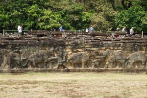 ...Famous Elephant Terrace...