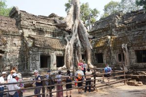 ... Houses in Angkor Wat | Cambodia