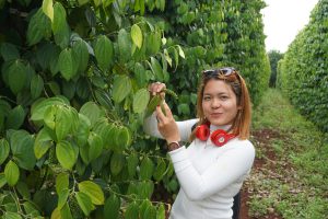 Nature Lodge Manager Srey Mol Invites me to Visit this Pepper Plantion...