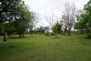 Nature Lodge in Mondulkiri | Cambodia