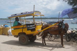 ...without Cars but with Horse Taxi...