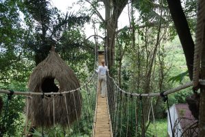 Tourist Attraction Temega Tree House | Karangasem Bali