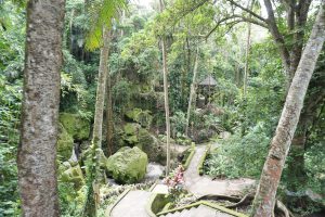 ...and Tropical Garden | Ubud