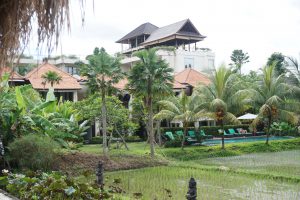 Our Hotel Tropical Garden | Ubud