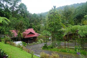 Mountain Paradise Resort | Tomohon