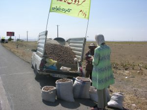 Nuts on the Road close to Tabriz | Iran