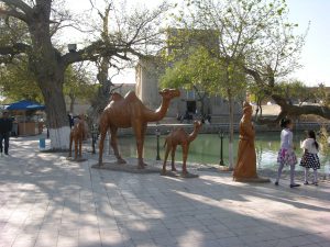  Including Remainders of Silk Road Travellers in Bukhara | Uzbekhistan