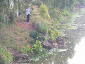 ...And Flowers everywhere in Yunnan's South | China