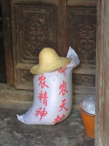Sack of Rice, Left | China