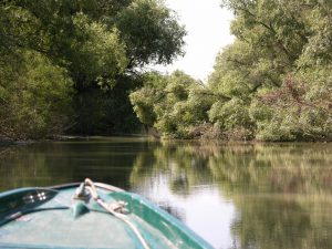 Obligatory Boat Trip through Danube Delta | Romania