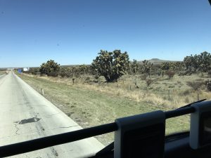 Bus Trip to ... 600 km North of Aguascalientes