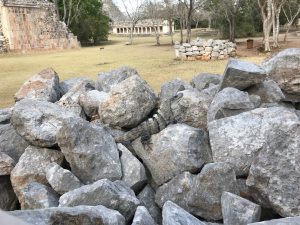 ...and Leguan | Uxmal