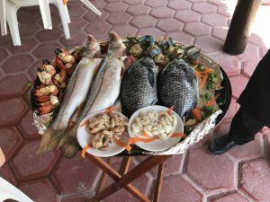 Fresh Fish at the Beach | Ciudad del Carmen