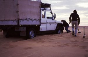 Even this Is not a Guarantee in the Western Desert | Egypt