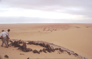 Sone Age House with wonderful Viwe over Seal Playa, Chalk Remainders of a former Ocean ai Gilf Khebir | Egypt