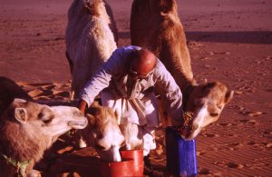 His Camels are Thirsty but we Supply Water and Food | Egypt