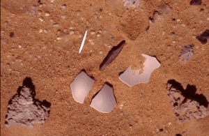 Needles and Ostrich Egg Pot, Household Reamaiders about 15.000 Years old at Gilf Khebir | Egypt